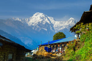 Blick auf Annapurna-Süd 