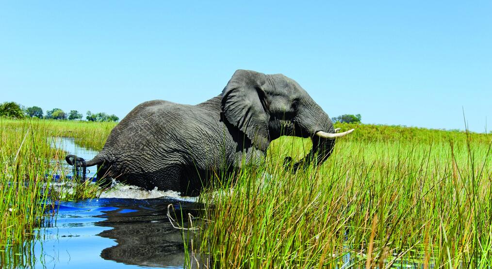 Botswana Reisen