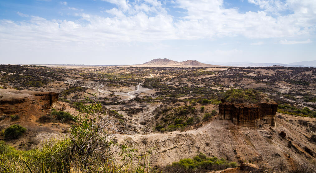 Olduvai Schlucht