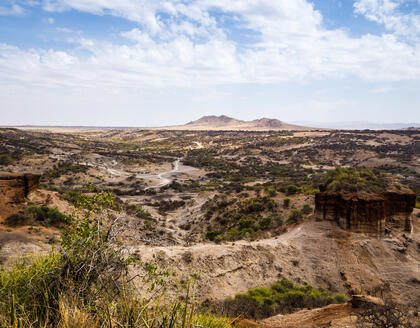 Olduvai Schlucht