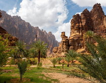 Palmen und Berge in Wadi Disah