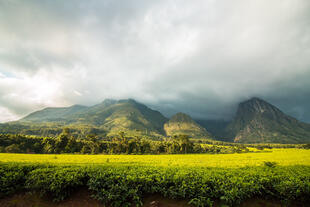 Mulanje Gebirge