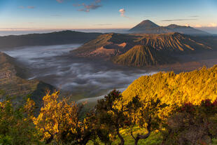 Sonnenaufgang am Bromo