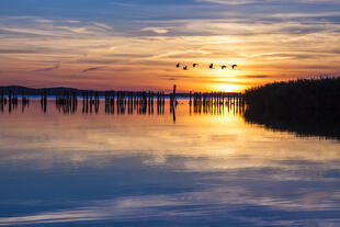 Sonnenuntergang am Meer