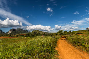 Viñales