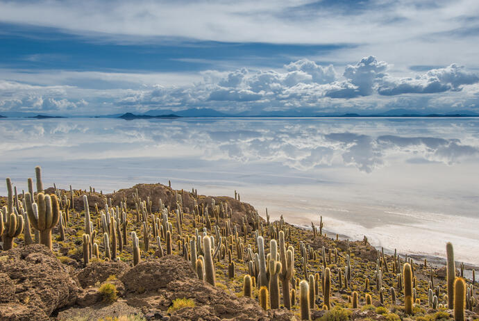 Kaktusinsel am Salar de Uyuni