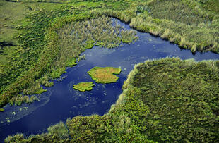 Okavango Delta