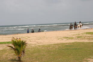 Reiten am Strand