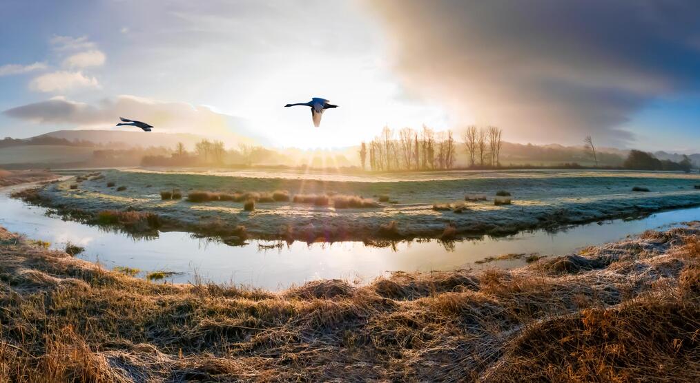 Sonnenaufgang Fluss Süden Englands Reisen