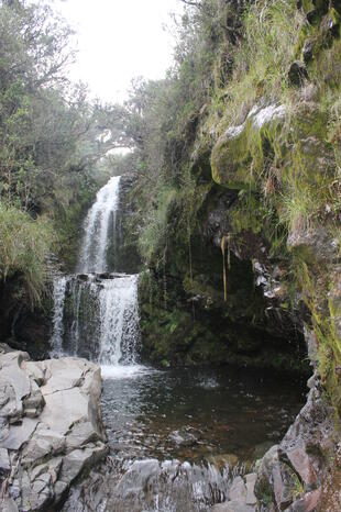 Cotopaxi Nationalpark