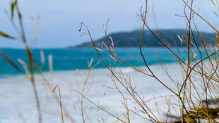 Great Ocean Road 