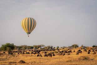 Heißluftballon im Serengeti Nationalpark 