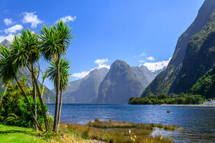 Milford Sounds