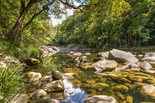 Mossman River 