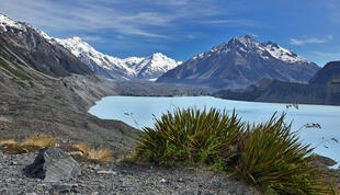 Mount Tasman 