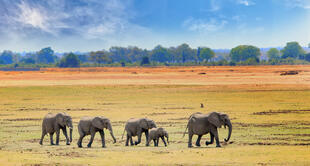 Südluangwa-Nationalpark