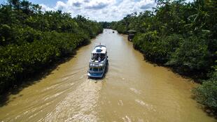 Bootsfahrt auf dem Amazonas