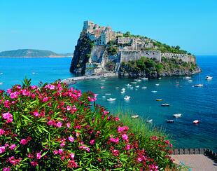 Fischerboote in der Bucht von Ischia