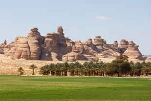 Landschaft in AlUla mit Dattelpalmen