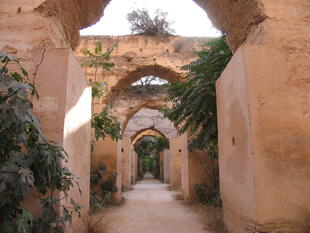 Volubilis Pferdestaelle des Moulay Ismail 