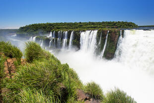 Blick auf die Iguazu Wasserfälle