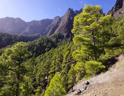 Caldera de Taburiente Panorama