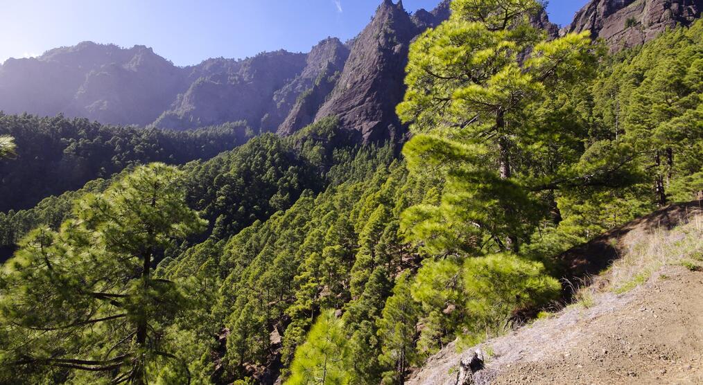 Caldera de Taburiente Panorama