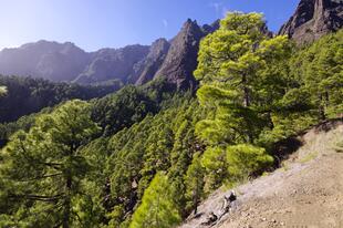 Caldera de Taburiente Panorama