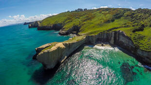 Natur in der Gegend von Dunedin 