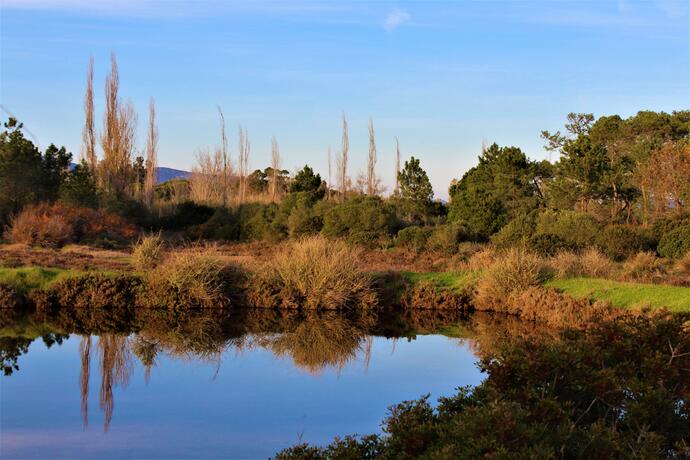 Ria Formosa