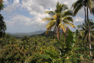 Baracoa