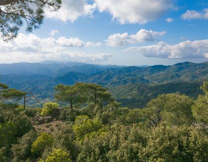 Blick auf das Troodos-Gebirge