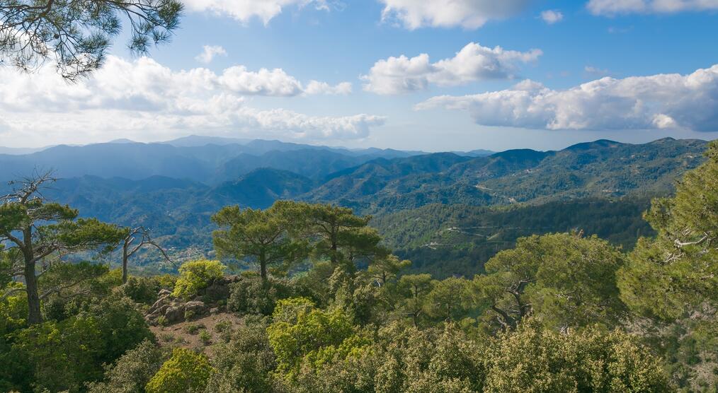 Blick auf das Troodos-Gebirge