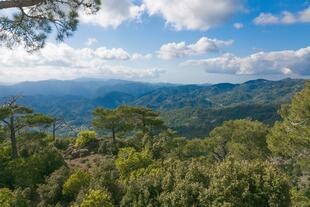 Blick auf das Troodos-Gebirge