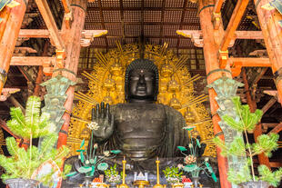 Daibutsu Nara