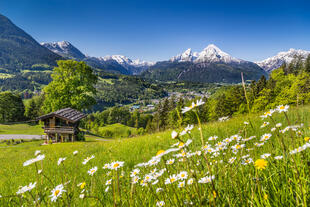 Hütte auf Alm 