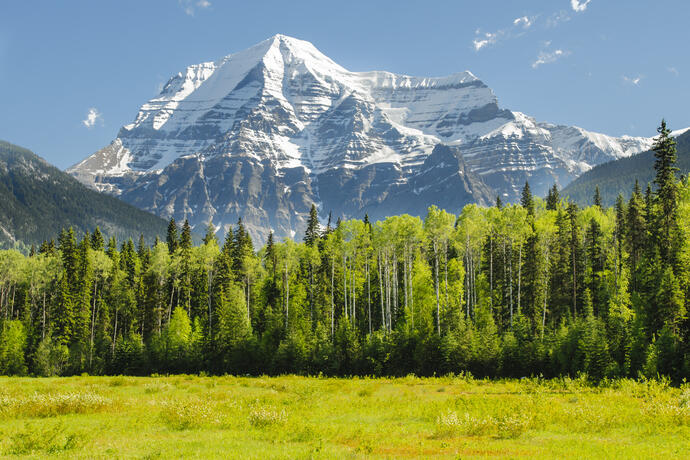 Mount Robson 