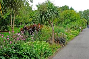 Ventnor Botanic Garden