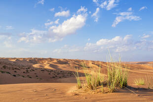 Wahiba Sands