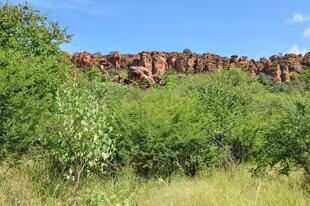 Waterberg