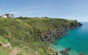 Der Lizard Point