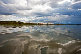 Landschaft am Lake Naivasha