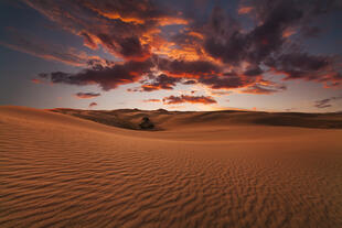 Sonnenuntergang in der Wüste Gobi