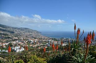 Blick auf Funchal