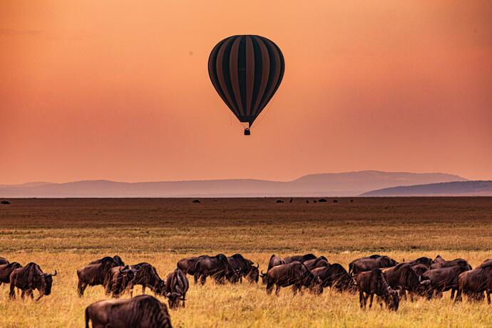 Heißluftballon im Morgenlicht im Serengeti Nationalpark 