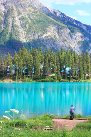 Natur im Yoho National Park 