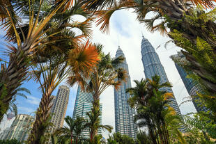 Petronas Towers 