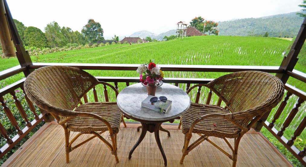 Ausblick von der Terrasse