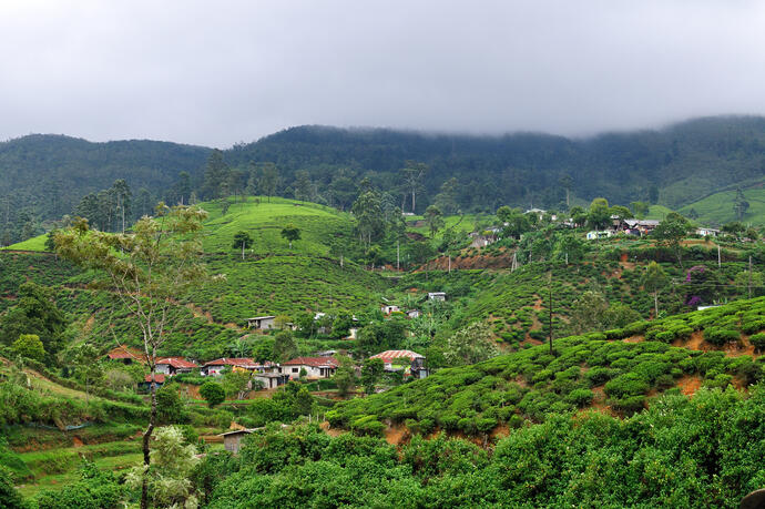 Nuwara Eliya