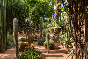 Jardins Majorelle